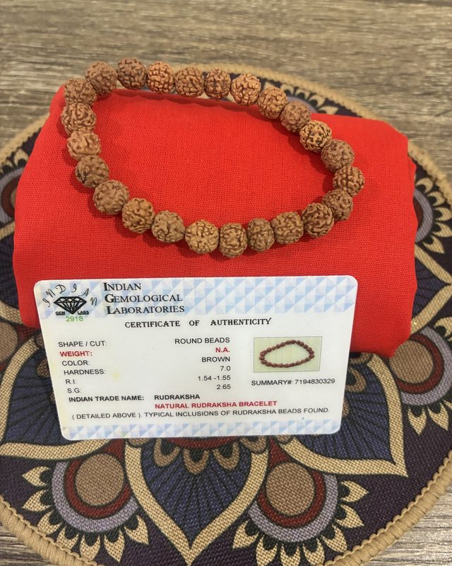 A rudraksha bracelet shown with its certificate of authenticity